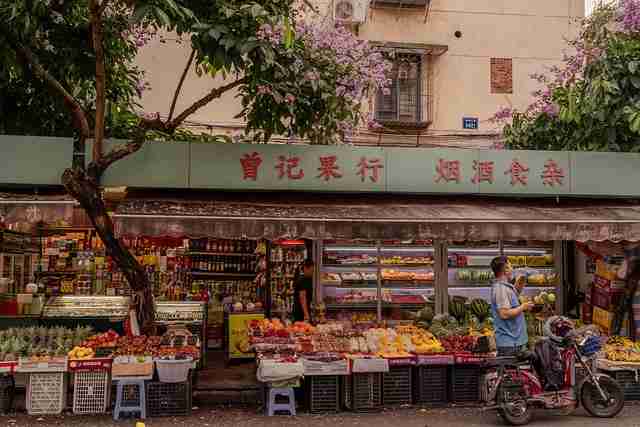 蘑菇影视在线观看:离线解析与功能盘点